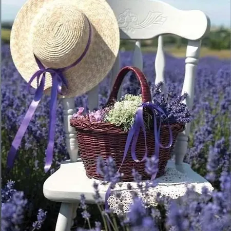 Grange Voutee Avec Jardin *