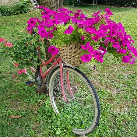 Grange Voutee Avec Jardin * Mane (Alpes-de-Haute-Provence)