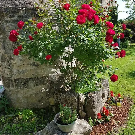 Grange Voutee Avec Jardin Nyaraló